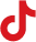 Tiktok logo