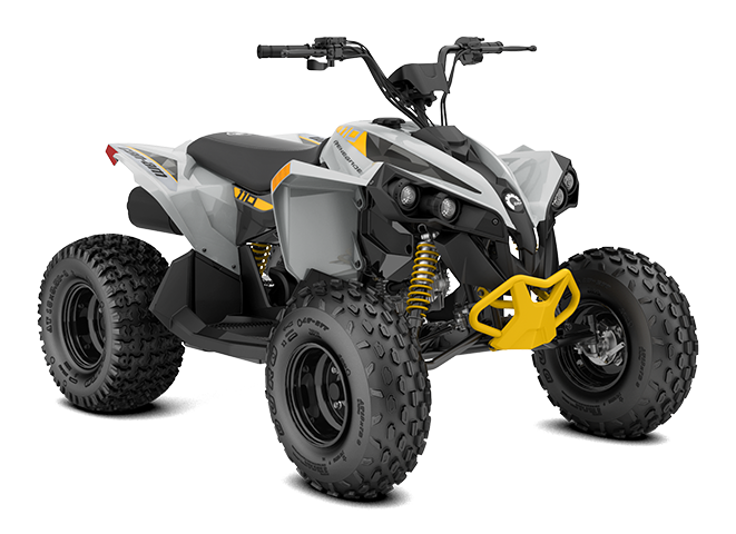 Can-am Renegade 110 EFI