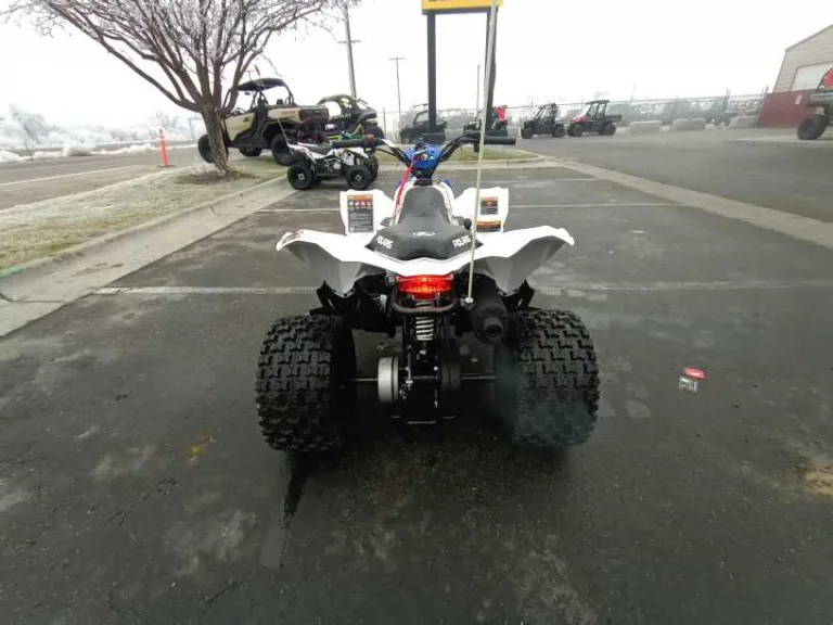 2025 POLARIS 0 ATV Ontario OR 5P176 7