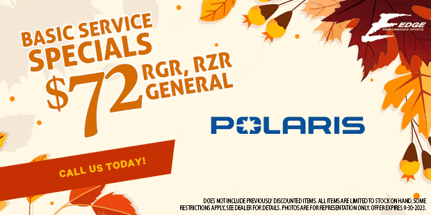 Desktop_Basic Service - Polaris- RGR RZR General
